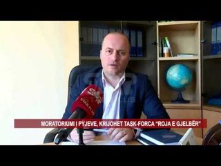 MORATORIUMI I PYJEVE, KRIJOHET TASK-FORCA “ROJA E GJELBËR”