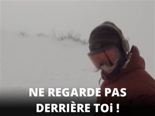 Course poursuite avec un ours ! Fake ou pas ?