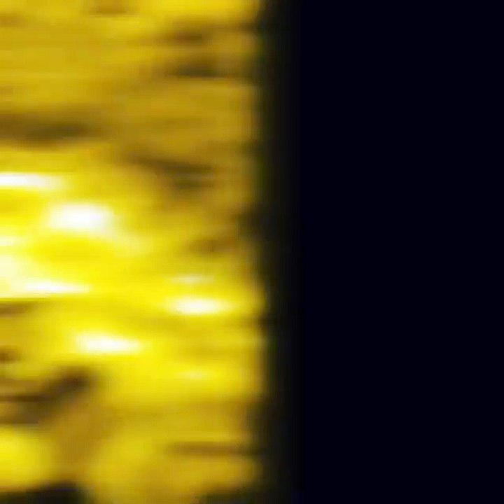13008835_206234699756880_531453229_n