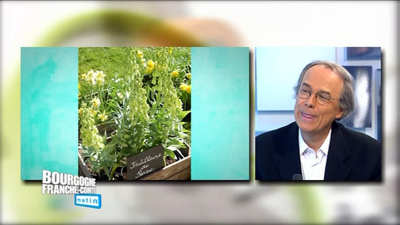 Foire aux plantes rares au château de Pierre-de-Bresse