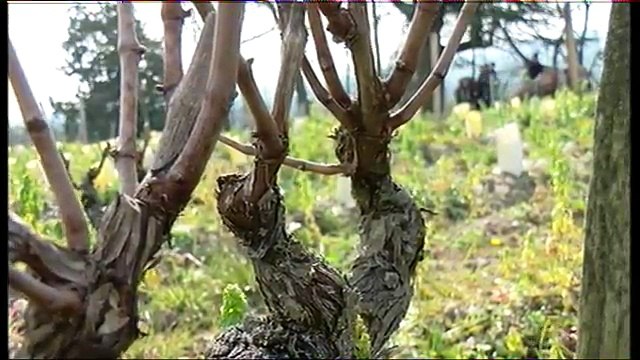 Vu d'Ici - 12/04/2016