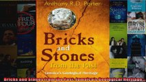 Read  Bricks and Stones from the Past Jamaicas Geological Heritage  Full EBook