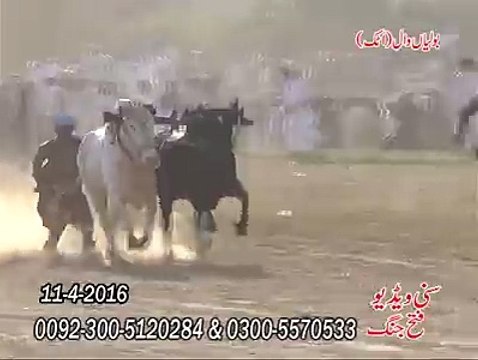 T.A.M.A.S.H.A بولیاں وال اٹک تماشا