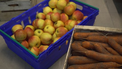 Simone Lemon, un restaurant qui réhabilite les légumes «moches»
