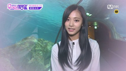 [스페셜] 쯔위가 미래의 남친에게 보내는 영상편지♡