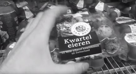 Quail Born From Supermarket Egg