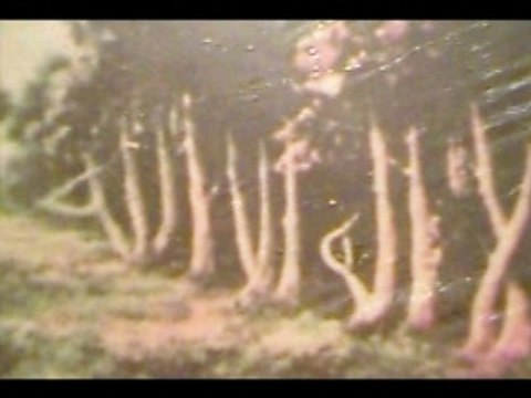 WOW NASHEED - NEW ZAIN BHIKA SING CHILDREN OF THE WORLD