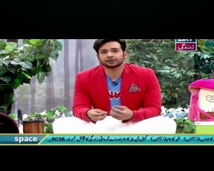 Salam Zindagi With Faisal Qureshi – 12th April 2016 Part 3