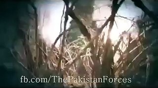 -Pakistan Army- Training 2016 - YouTube