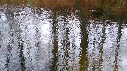 reflections on flowing water