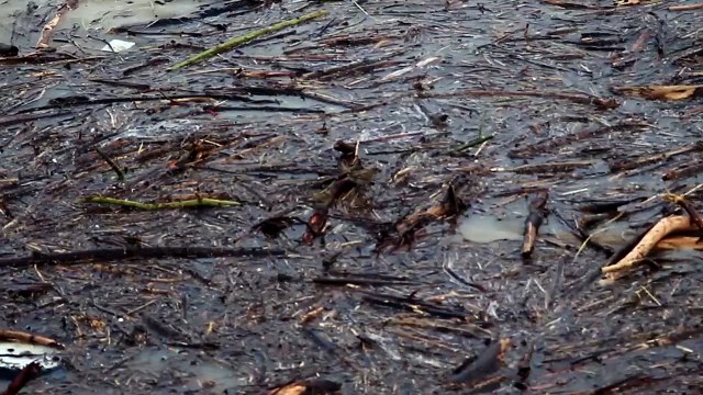 Les 10 top des déchets retrouvés dans l'Océan