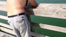 Shark off pier in Myrtle Beach