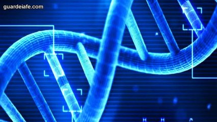 Computador poderá prever o Dia da Morte de uma Pessoa