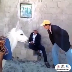 اكبر مجنون على وجه الارض