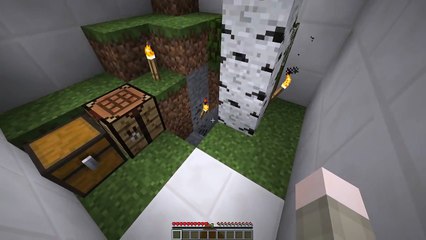 15 SECONDS TO REMEMBER! Minecraft Brain Game!