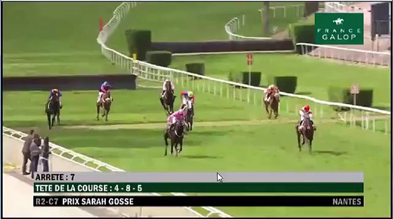 Un cheval a violemment percuté plusieurs spectateurs