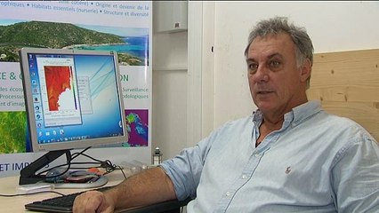 Environnement : la Méditerranée au bord du "burn-out" ?