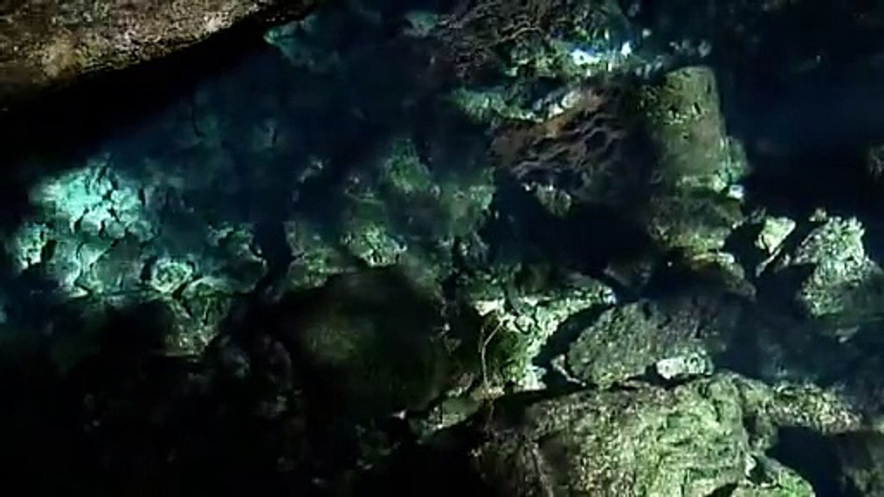 Waterlife (1/4) : limportance de leau sur Terre Documentaire nature