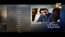 Zindagi Tujh Ko Jiya Episode 31 Promo HUM TV Drama 12 April 2016