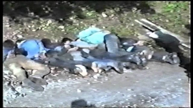 SHESHEL ANULON VIZITEN NE KOSOVE, RADIKALI SERB AKUZA PRISHTINES DHE BEOGRADIT LAJM