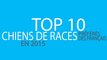 TOP 10 CHIENS DE RACES PRÉFÉRÉS DES FRANCAIS EN 2015