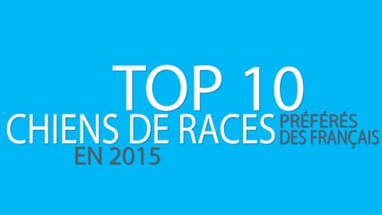 TOP 10 CHIENS DE RACES PRÉFÉRÉS DES FRANCAIS EN 2015