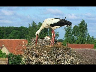 Kuş Bakışı 3. Bölüm