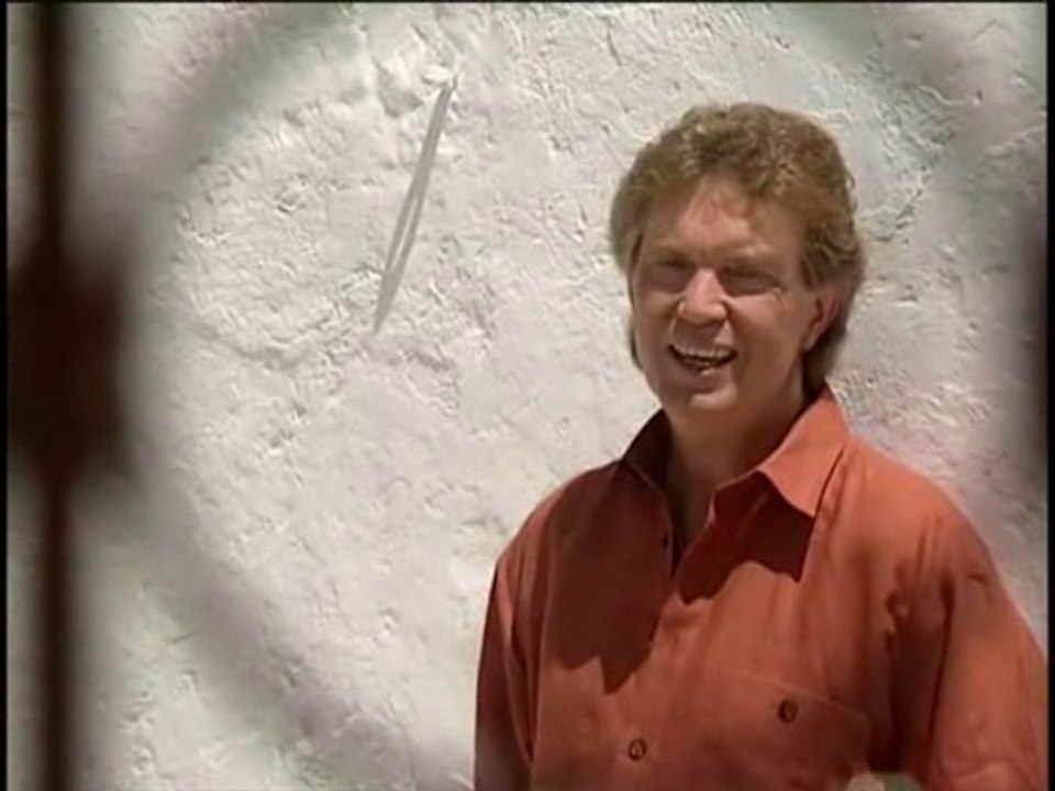 Die Flippers - Flamingo