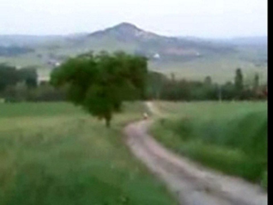 Dsante