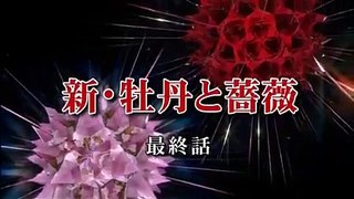 [HD]新・牡丹と薔薇【ぼたんが繋ぐ運命の糸】第41話