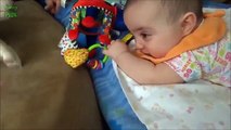 Puppies and Babies Playing Together Compilation funny people