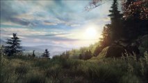 Unfinished Story - The Vanishing of Ethan Carter Guide (German)