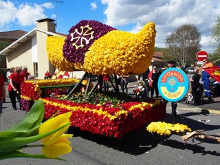 Fête de la tulipe 2016  SOUSTONS