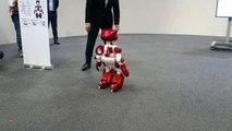 Robot the guide / Робот-гид