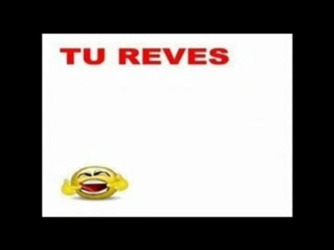 Les sales majestés- les patrons