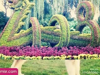 اروع معلومات مدهشة