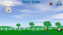 Introduction Turkey Studio