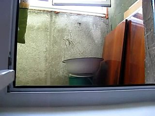 A peeping Tom cat-Подсматривающий кот