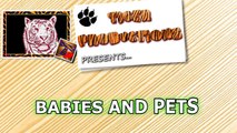 Babies and pets having fun together   Funny and cute baby & animal compilation