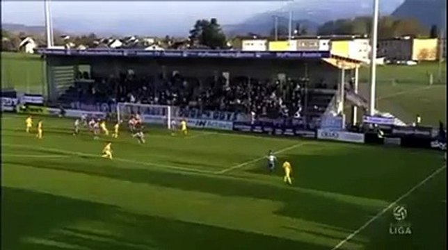 Austria Salzburg - Kapfenberg 0-4 Manfred Gollner Goal Erste Liga 12-04-2016 HD