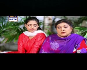 Shehzada Saleem Episode 47 Full on Ary Digital