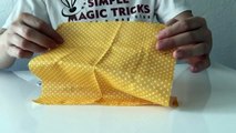 Easy Magic Tricks - Safety Pin Illusion