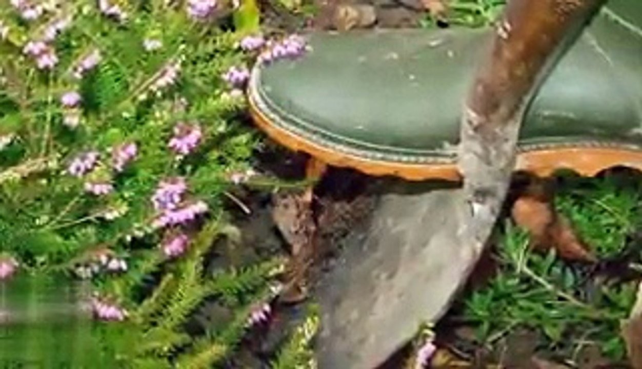 Found in Grave At Graveyard