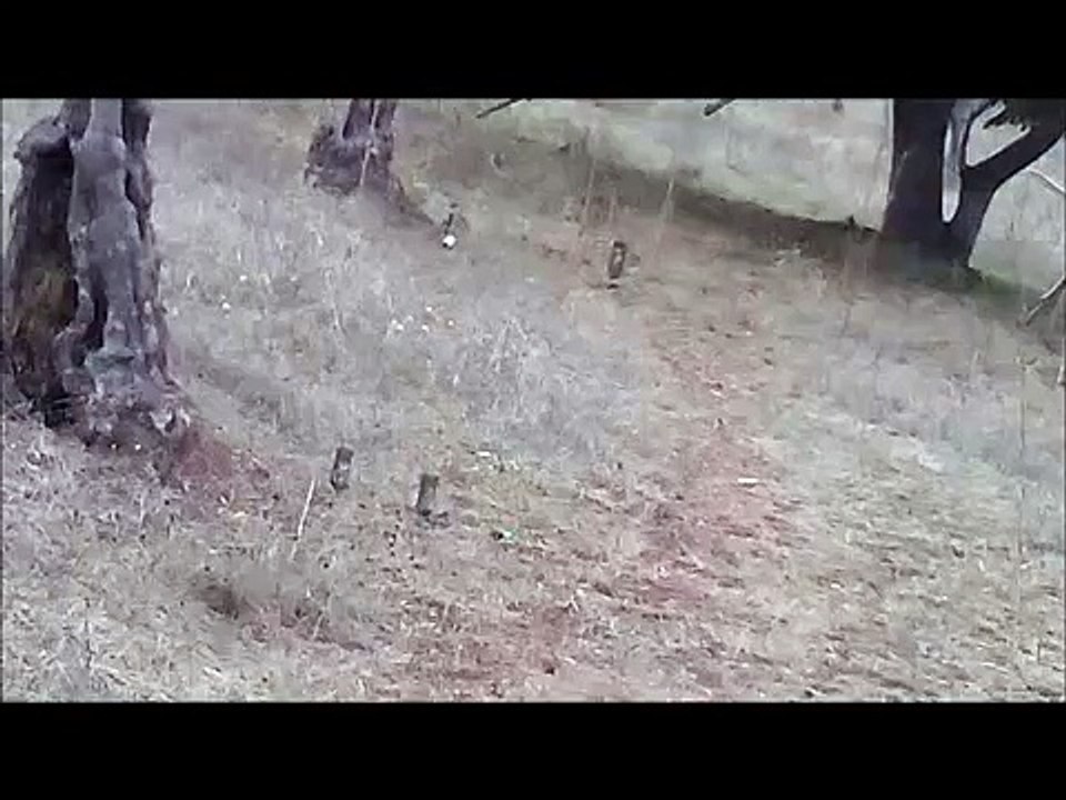 Benjamin xl 1100  50 metre ve 40 metre  bottle shot