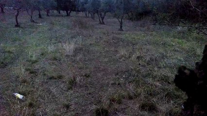 Benjamin xl1100 kurma ve tepme testi