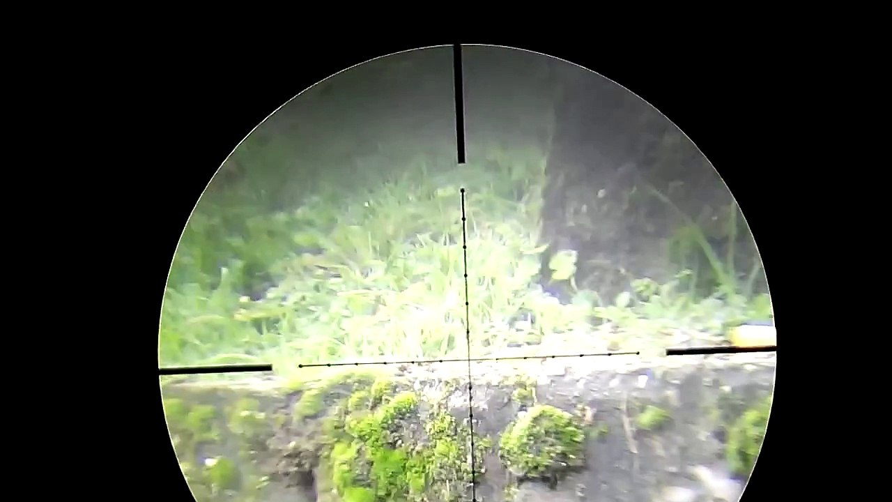Fx t12 5.5  15 metre