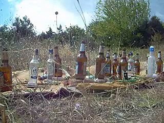 Hatsan AT44 5.5 mm    50 metre