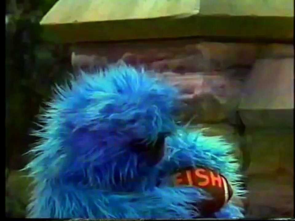Sesame Street Herry Wants to Play Football