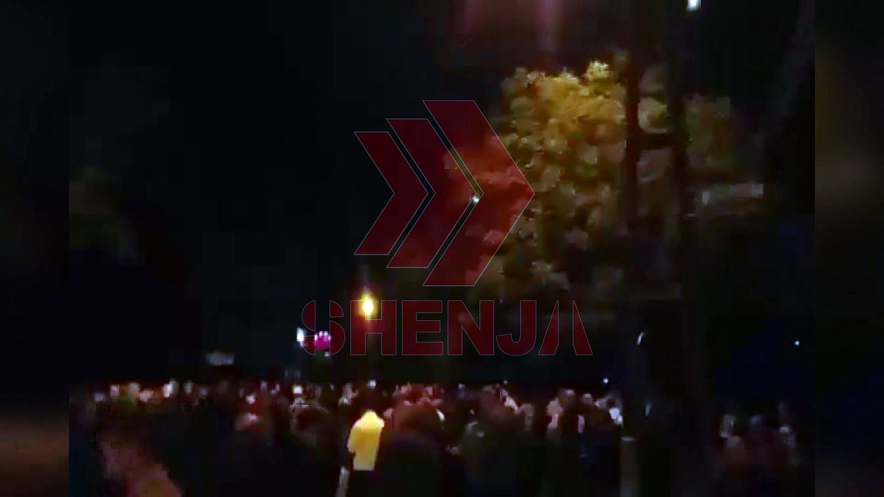 PROTESTA LSDM