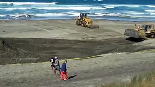 Dead whale burial on Ocean Beach, San Francisco